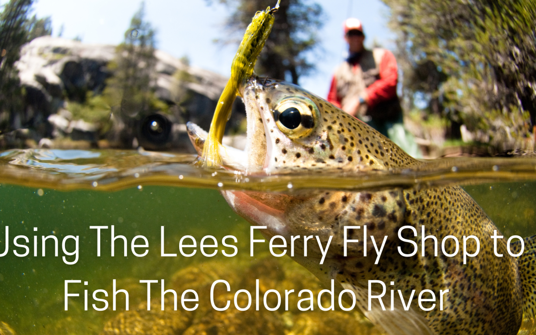 Using The Lees Ferry Fly Shop to Fish The Colorado River Lees Ferry