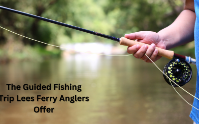 The Guided Fishing Trip Lees Ferry Anglers Offer
