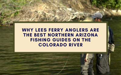 Why Lees Ferry Anglers are the Best Northern Arizona Fishing Guides on the Colorado River