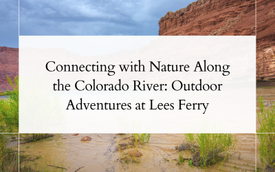 Connecting with Nature Along the Colorado River: Outdoor Adventures at Lees Ferry