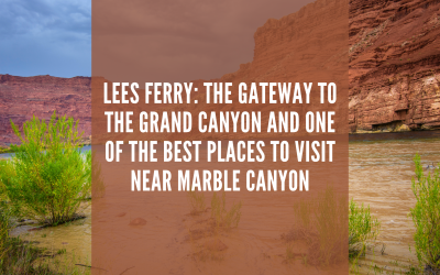 Lees Ferry: The Gateway to the Grand Canyon and One of the Best Places to Visit Near Marble Canyon